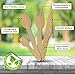 Disposable Wooden Cutlery Set by Chefast - Combo Kit Of 250 Eco-friendly Utensils - Includes Spoons, Forks, Knives, Mini-Spoons, 2 Organizers and Carry Bag - Biodegradable and Compostable Silverware