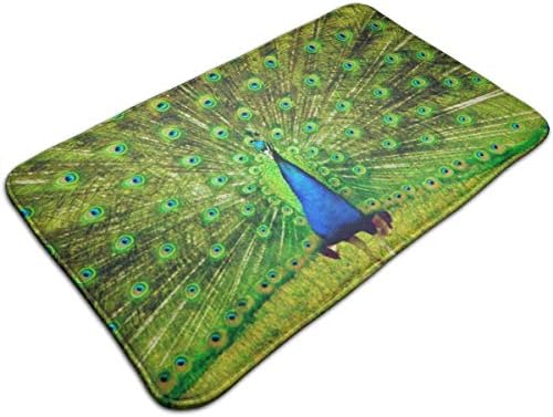 ARTOPB Elegant Peacock Vibrant Home Decoration Doormat Non Slip Front Door Mat Indoor Outdoor Entrance Rug Floor Mats Carpet Home Doormat