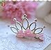 Joyci Infant Girl's Diamond Crown Hair Pin Princess Hair Clips Kids Party Hair Accessory