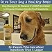 4-Legger Certified Organic Dog Shampoo - All Natural and Hypoallergenic with Aloe and Lemongrass, Soothing for Normal, Dry, Itchy or Allergy Sensitive Skin - Biodegradable - Made in USA - 16 oz