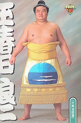 Amazon 大相撲カード 1999年上半期版 BBM 玉春日良二＜27＞ 片男波部屋 トレカ 通販