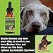 (2 Pack 30,000 MG) Buster's Organic Hemp Oil for Dogs & Cats - Max Potency - Grown & Made in USA - Omega Rich 3, 6 & 9 - Supports Hip & Joint Health, Natural Relief for Pain, Separation Anxiety