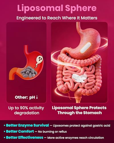 MEGNETA Nattokinase Supplement 12,000 FU (Max Strength) Serrapeptase 360,000 sPU, Lumbrokinase 10,000 FUV & CoQ10 -Systemic Enzymes Complex for Cardiovascular & Circulatory Health Support-100 Capsule