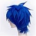 Flovex Short Straight Anime Cosplay Wigs Natural Sexy Costume Party Daily Hair (Blue)