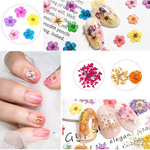 Nail Art Dried Flowers and Leaves 3D Nail Art Sticker Decals,24 Colors Natural Real Small Dried Flowers Nail Art Kit Decorations Supplies with Tweezer (2 Boxes)