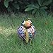 Outdoor Solar Lighting, Seven Color Changing LED Lights, Metal Art Snail Statues, Animal Garden Decorations for Gardens, backyards, Roads, lawns, Yard Art Decorations