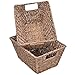 StorageWorks Seagrass Storage Baskets, Medium Wicker Baskets with Built-in Handles, 2 Pack