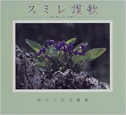 スミレ讃歌 春の野山から花便り 新井二郎写真集 フォトルピナス 新井 二郎 本 通販 Amazon