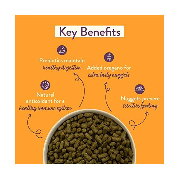 Burgess Excel Rabbit Adult Oregano, 2 kg