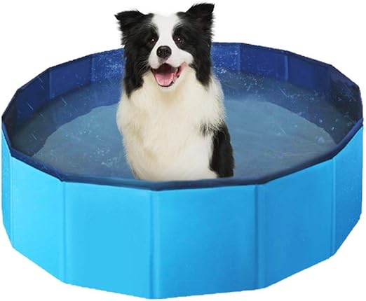 bañeras para perros amazon