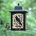 Perky-Pet 363 Birds and Berries Lantern Feeder