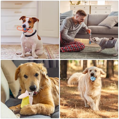 ZMDMAH Set of 8 Dog Toys Puppy Toys with Plush Rope Ball and Whistle Chew Toy and Interactive Games for Small Dog and Puppy