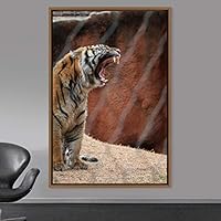 Framed Canvas Wall Art Tiger Animals Chic Dramatic Lion Living Room Multicolor Photography - 16x24 inches