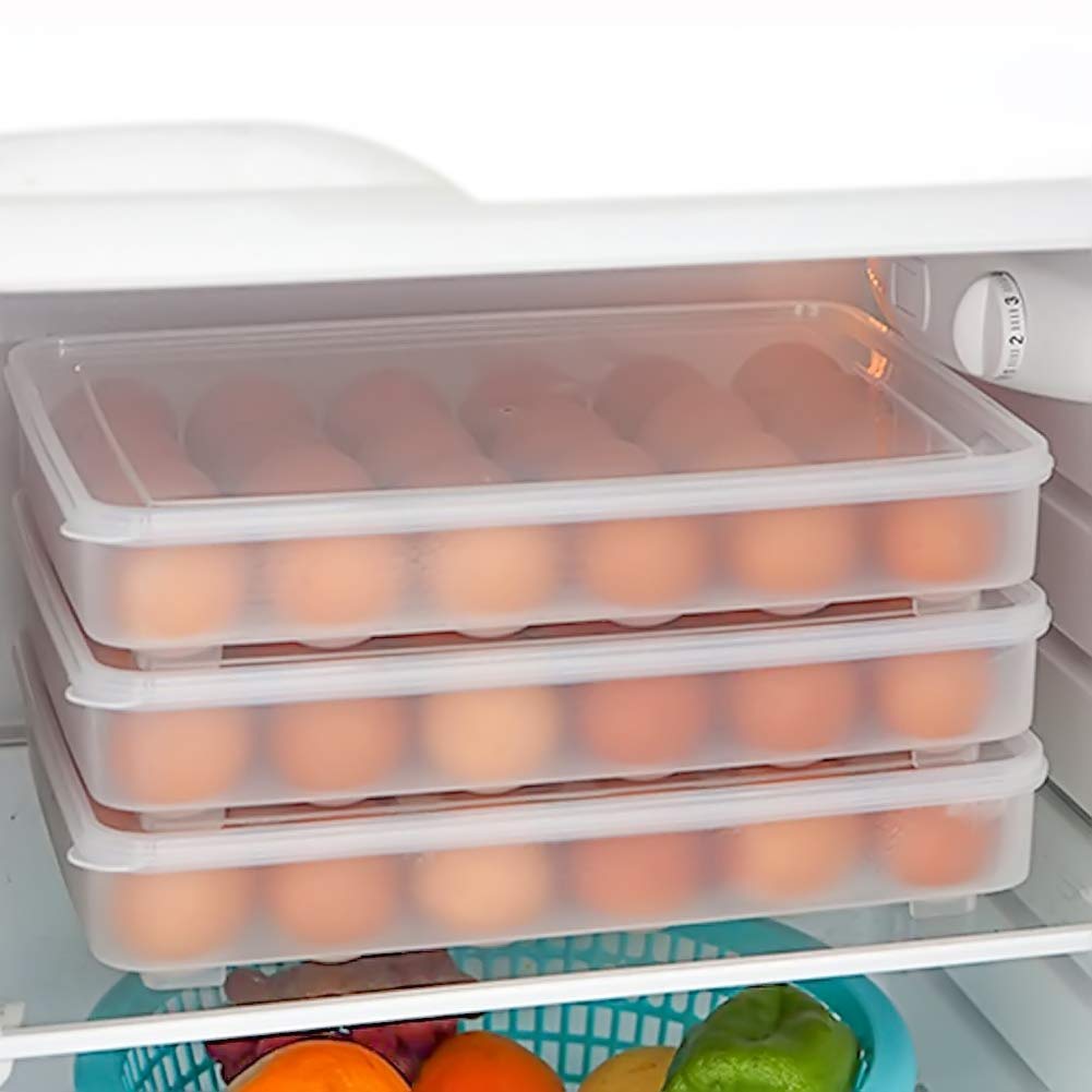 HANSGO Deviled Egg Containers with Lid, Deviled Egg Tray Holder Carrier with Lid for 24 Eggs for Home Party Kitchen Supplies Refrigerator Storage