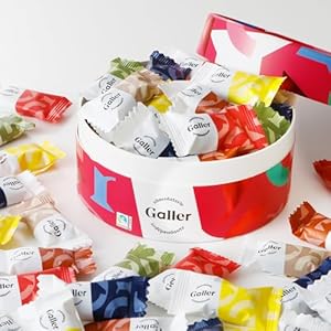 ガレー Galler チョコレート ベルギー王室御用達 ナノバー 30個入り
