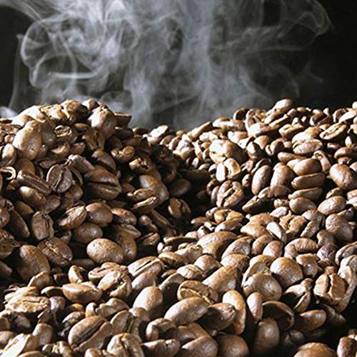 TTFGG 600G Kaffeeröster Kaffeebohnen,Kaffeebohne Röstmaschine Haushaltsbackenmaschine Kaffeebohnen Röstmaschine, Für… – Bild 6