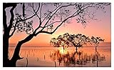 Philippines Sunrises and sunsets Trees Silhouette