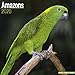 Amazon Parrot Calendar - Parrot Calendar - Bird Calendars - Calendars 2019 - 2020 Wall Calendars - M by