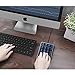 USB Number Pad, Poruary Numeric Keypad with Blue LED backlight Portable Full Size 21-Key Keypad with Multiple Shortcuts Multi-Function for Data Entry Laptop Tablet Desktop Computer PC (Black)