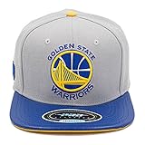 Pro Standard Men's NBA Warriors Team Logo
