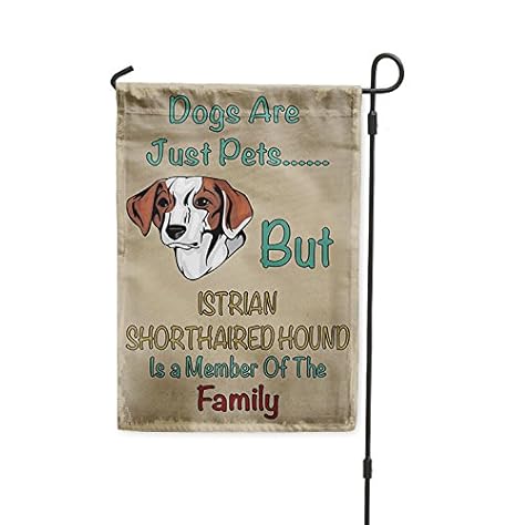 Amazon Com Dogs Just Pets But Istrian Shorthaired Hound Dog