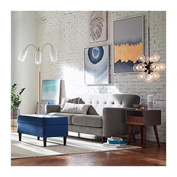 Amazon Brand Rivet Sloane MidCentury Tufted Modern Accent Chair