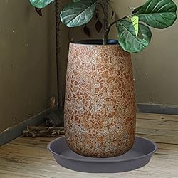 Bleuhome 6 Pack of 10 inch Plant Saucer Gray, Heavy