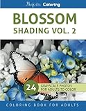 Blossom Shading Vol. 2: Stress Relieving Grayscale Photo Coloring for Adults