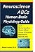 Neuroscience ABCs: Human Brain Physiology Guide