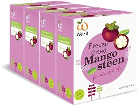 Fruite Dried Mangosteen Wel B 25g x 4