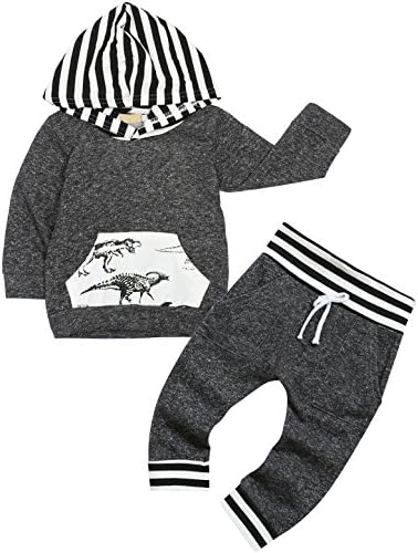 Giwawa 2Pcs Baby Boy Dinosaur Outfit Set Striped Tops Pant Hoddie (Gray, 0-6 Months)