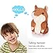 Woodyotime Talking Back Hamster Toy Repeats What You Say Plush Animal Electronic Pet Mimicry Toy for Boys and Girls Stuffed Animals Perfect Friend Christmas Gifts and Birthday