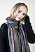 Women’s Jewel Shimmer Multicolor Stripe Scarf, Metallic Pashmina Shawl (Berry Dazzling)