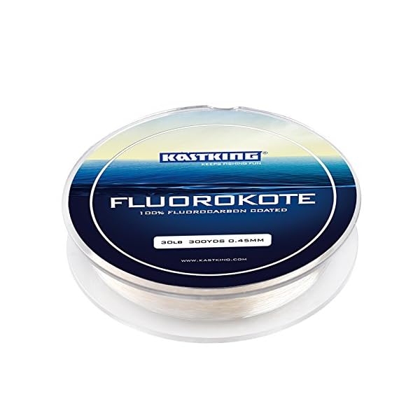 KastKing-FluoroKote-Fishing-Line-100-Pure-Fluorocarbon-Coated-300Yds274M-Premium-Spool-Upgrade-from-Mono-and-Perfect-Substitute-for-Solid-Fluorocarbon-Line-ICAST-Award-Winning-Brand