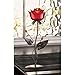 Gifts & Decor Home Locomotion 10013920 Romantic Rose Votive Holder, 5