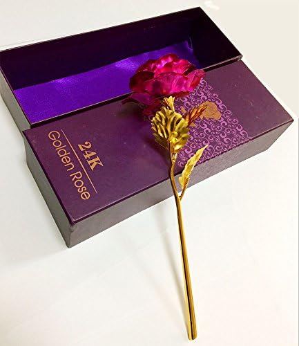 AILOVE 24k Gold Plated Rose Foil Flowers 9.84Inches Handcrafted with Gift Box the Ultimate Creative Thanksgiving Mother's Day Valentine's Day Gift All Festivals (Golden Red Purple Blue) (rose pink)