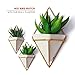 California Home Goods Large Decorative Geometric Hanging Planter Pot for Indoor Wall Decor, Planter for Succulent Plants, Air Plant, Cacti, Faux/Artificial Plants, White Ceramic/Brass