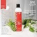 Nourish Beaute Vitamins Premium Shampoo and Conditioner for Hair Loss that Promotes Hair Regrowth For Men and Women, 2 10 Ounce