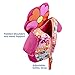 SwimSchool Premium Swim Trainer Vest with Buoyancy Collar and Sleeves, Adjustable Safety Strap, Small, Up to 33 lbs., Pink