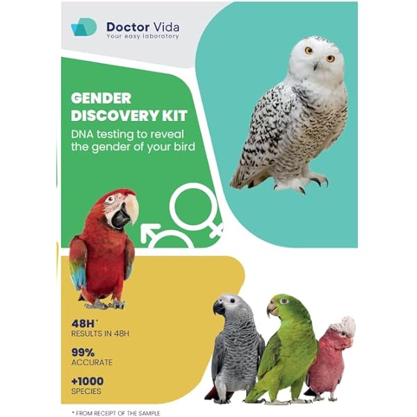 5 Bird Slim DNA Gender Sexing Tests For Parrots, Lovebirds & Cockatoos BREEDERS
