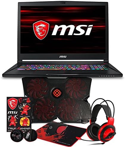 MSI GS73 STEALTH-016 Essential (i7-8750H, 16GB RAM, 500GB NVMe SSD + 2TB HDD, NVIDIA GTX 1070 8GB, 17.3" Full HD 120Hz 3ms, Windows 10 Pro) VR Ready Gaming Laptop