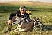 Montana Decoy Antelope Buck, Brown