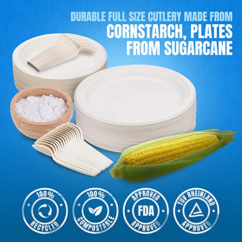 SevenT2 250Pcs Compostable paper plates, Biodegradable, Disposable