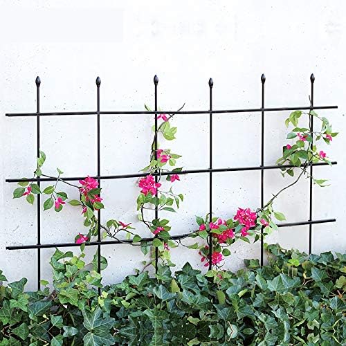 ZHANGZHIYUA Plant Support Ring Garden Trellis Flower Iron Support Climbing Plant Grow Cage with Adjustable Rings