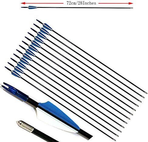 PG1ARCHERY 28" Fiberglass Archery Targeting Arrows Youth Kids Game Outdoor Sports Practice Arrow with Bullet Point Tips Fletching Vanes for Longbow, Recurve Bow & Compound Bow, 12 Pack Blue