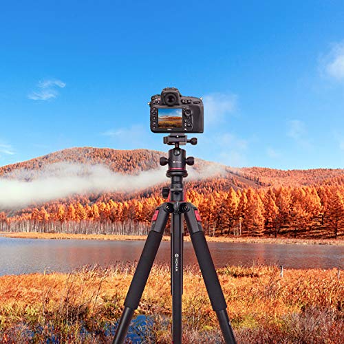 Moman Camera Tripod with Telescopic Horizontal Column Arm and Ball Head for Macro Shoot/Overhead Photography/Travel / DSLR Camera Video Camcorder