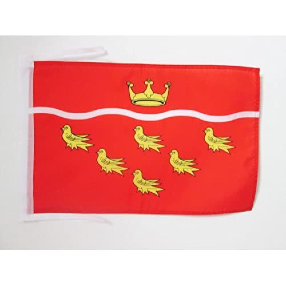AZ FLAG - East Sussex county Flag - 18'' x 12'' - 100% Polyester East Sussex - England Small Banner with Two Cords - Fade Resistant - Vivid Colors - 18x12 in - 45x30 Cm