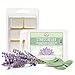 Aira Soy Wax Melt - Organic, Vegan, Kosher, Scented Soy Wax Cubes w/Essential Oil Blends - No Chemical 100% Soy Wax Melts for Electric/Tealight Melters - Hand-poured Soy Tarts - Stress Relief -2 Pack