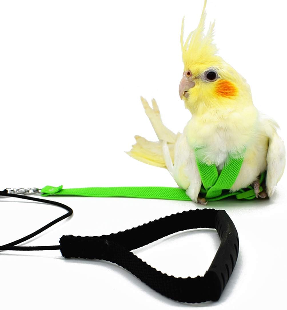 Adjustable Harness Leash for Parrot African Grey Cockatoo Macaw Ringneck Parakeet Cockatiel and Reptile Lizard Outdoor Walk, Adjustable and Bite Resistant Design