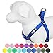 Blueberry Pet Essentials Step-in Dog Harness, Small Size | Adjustable Royal Blue Vest | Classic Solid Nylon for Boy & Girl Dogs, Chest Girth 16.5